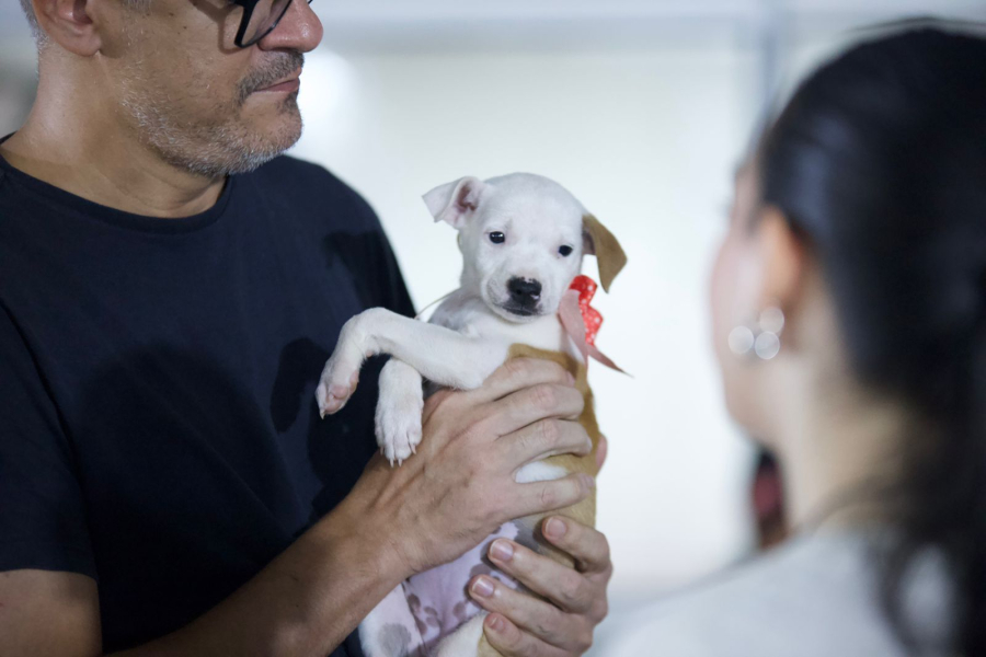 Feira lota Espaço Alternativo no primeiro dia e segue até domingo (19) com adoção de mais de 200 animais